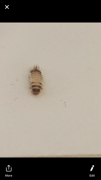 What is this?