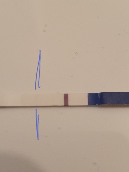 Positive tests after bleed??