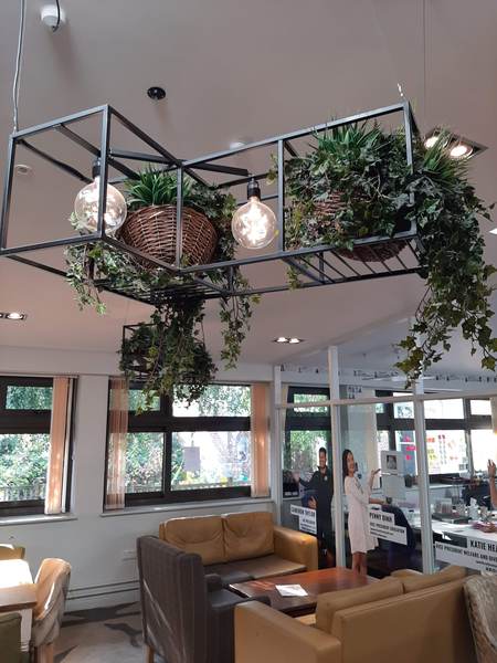Whare can I buy a plant lampshade hanging thing?