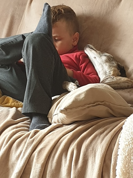 Not sure what to do about our (very small) dog