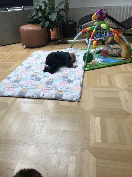 Trying to crawl head down buttom up