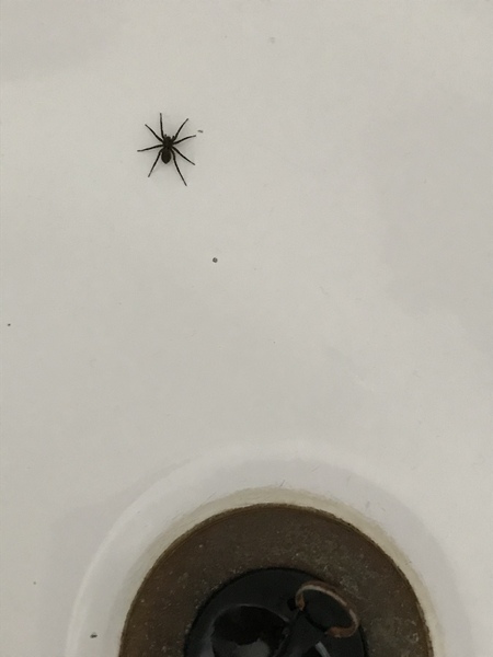 I'm a masochistic submissive and live with my sadistic Sir. AMA