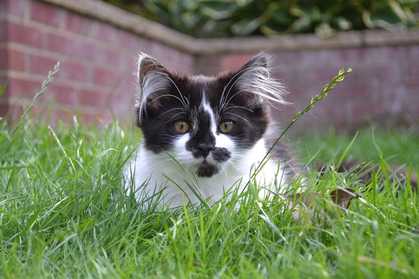 Struggling after losing our beautiful boy
