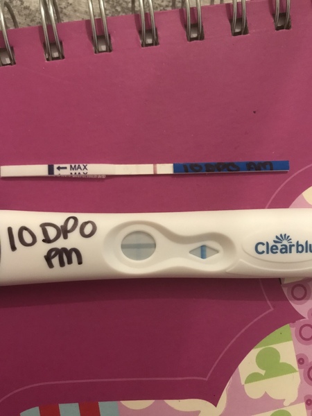 Test at 10dpo - can you see a line?