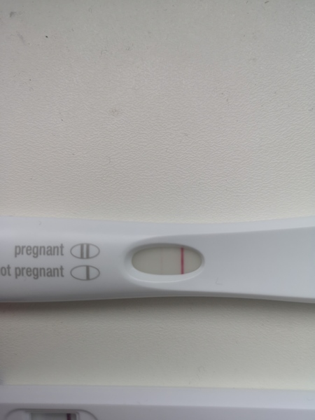 Line eyes 11dpo