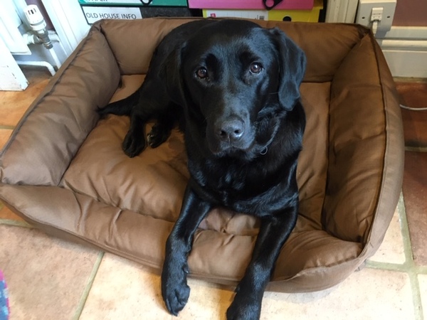 Westminstenders: DUP says no