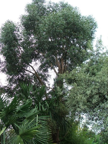 The Reconciliation Cafe