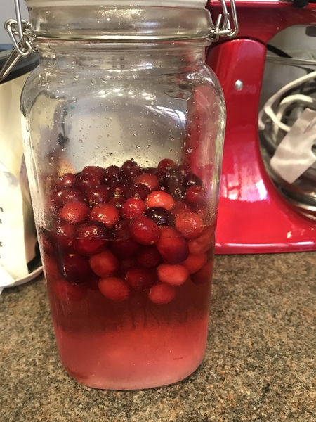 It's poncetastic 2019!