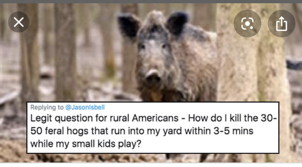 If your username predicts the way you die... How would it happen?