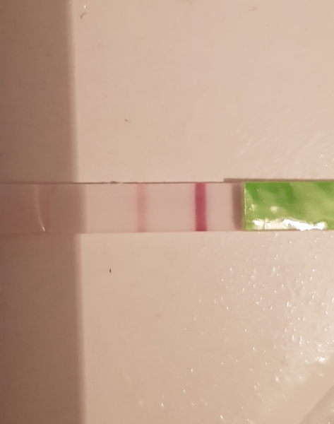 Fresh off the mini pill today-hoping for BFP Oct/Nov 2019 for a Summer 2020 Baby. NEED A BUDDY?