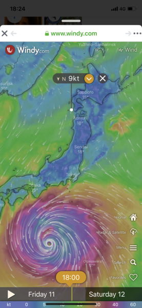 Rugby World Cup 2019