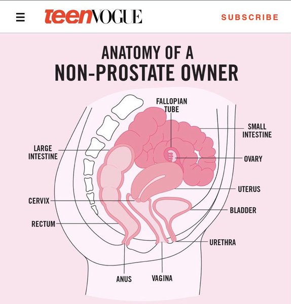 Teen Vogue calling women "non-prostate owners"