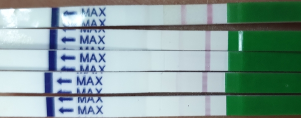 EWCM but neg OPK