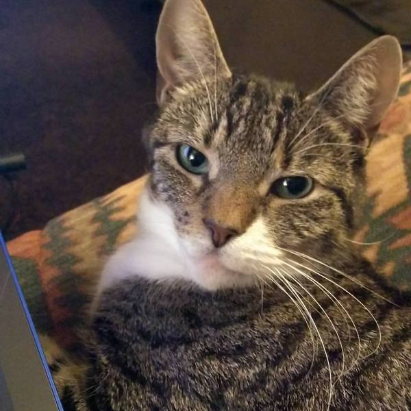 Westministenders: Sub-Prime Minister at large