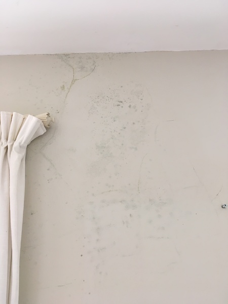 Damp patch suddenly appeared