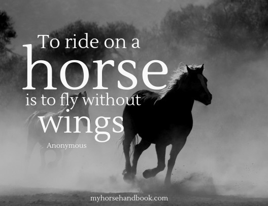 ‘Inspirational’ quotes that you actually quite like?