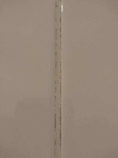 Is it possible to remove mould like this from grout or should I just replace it?