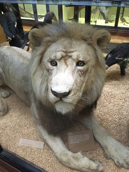 Westministenders: Slow News Fake News