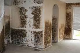 Mould or a sign of something worse?