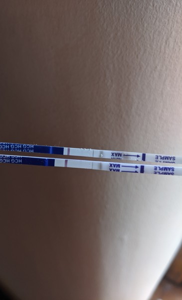 Help, evap or positive??