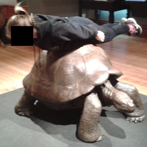 Westministenders: Slow News Fake News