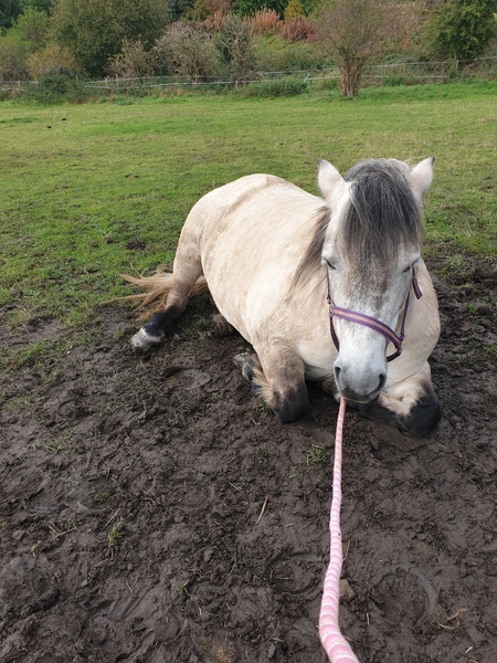Wankerbastards and autumn weather, crunchy leaves, browning heather. We want crisp, cool days and crisp, cool wine, or beer or gin. But only a couple, as we smash moderatin'.