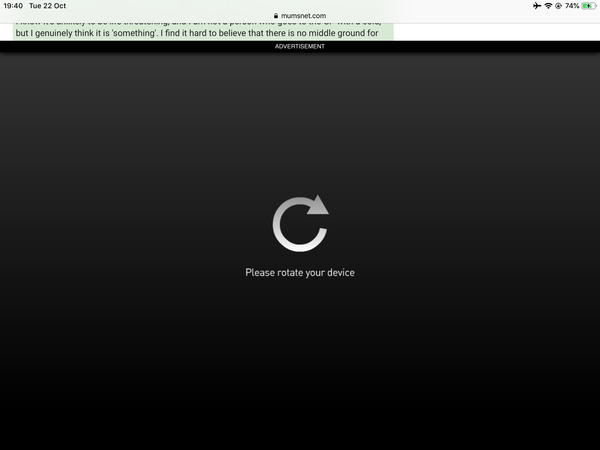 Huge adverts making the site unusable