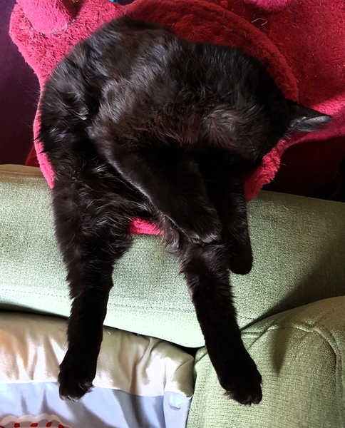 Westminstenders: Super Saturday