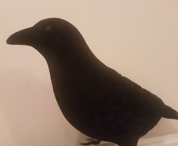 What can I buy from Argos for £4ish to win a bet?