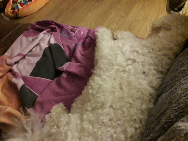 If you are sat on the sofa, what’s next to you?