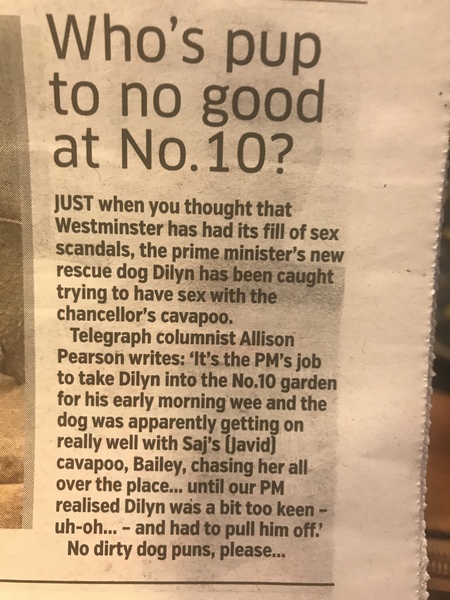 Westminstenders: The Slow No