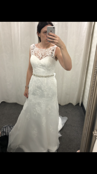 Opinions on this dress?