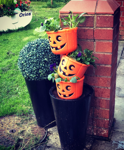 When do you put up your Halloween decs?