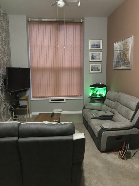 Would it be horribly outing to ask for a picture of your lounge?