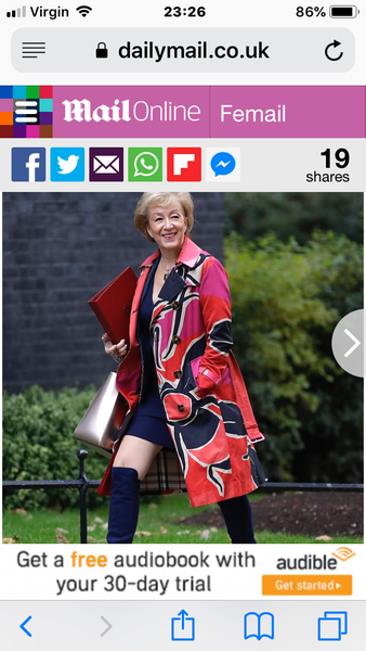 IABU Mrs Leadsom's mini dress