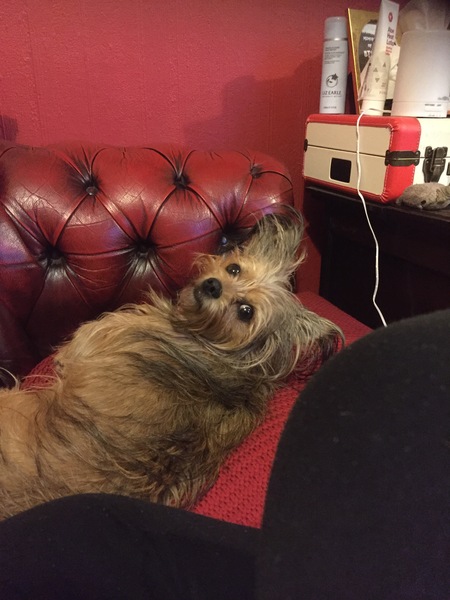 If you are sat on the sofa, what’s next to you?