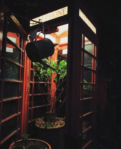 Has anyone successfully adopted a BT phone box?