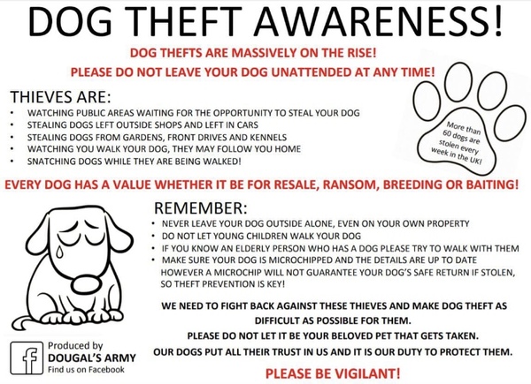 Has anyone ever had a dog stolen?!