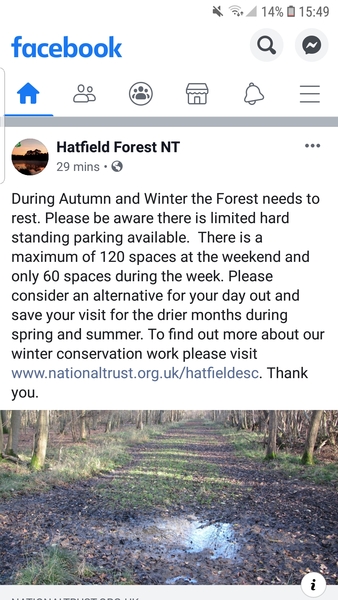 Hatfield Forest