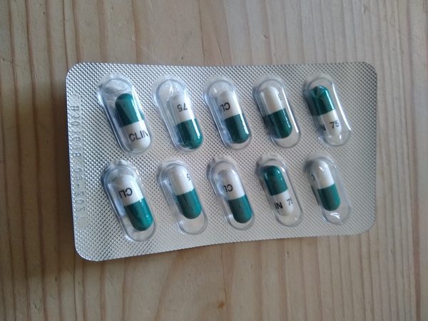 How do I get antibiotic capsule into cat?!