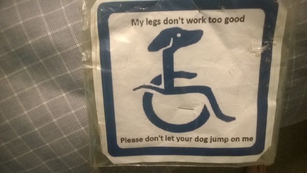 To ask what you’d think if you saw someone putting their dog on a lead?