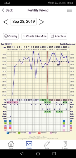 TTC after pregnancy loss 32 - the penguin huddle