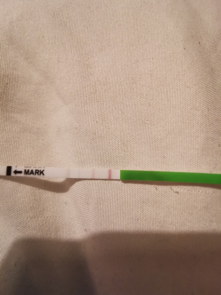 Ovulating around 25th October who's with me?