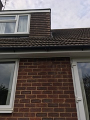 Damp patch suddenly appeared