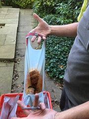 To be a little disappointed with Ocado’s response