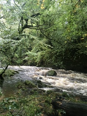 Any Witches Here? Part 9.