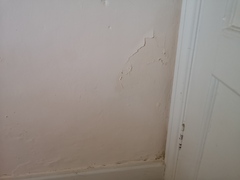 Anyone know what type of damp this is?