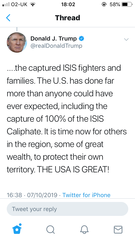 Finding a way through 'the avalanche of crazy' or Trump thread 96.