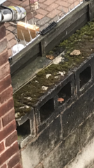 Neighbour’s ‘booby traps’ and MH