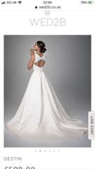 Opinions on this dress?